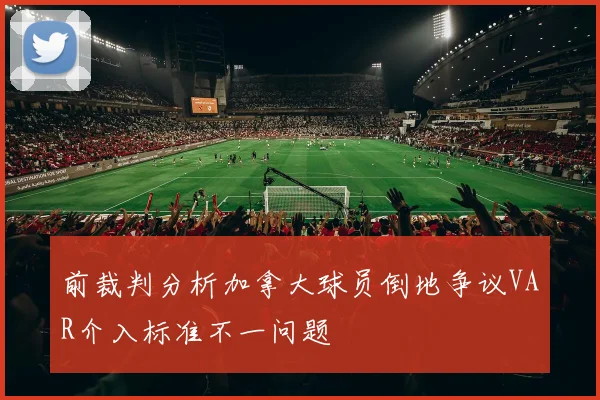 前裁判分析加拿大球员倒地争议VAR介入标准不一问题